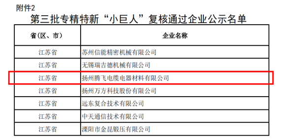 喜訊！揚(yáng)州騰飛成功通過(guò)國(guó)家級(jí)專精特新“小巨人”企業(yè)復(fù)核